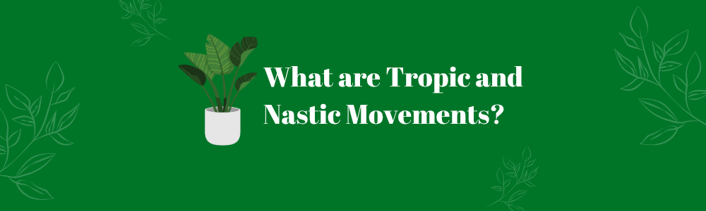 What are Tropic and Nastic Movements