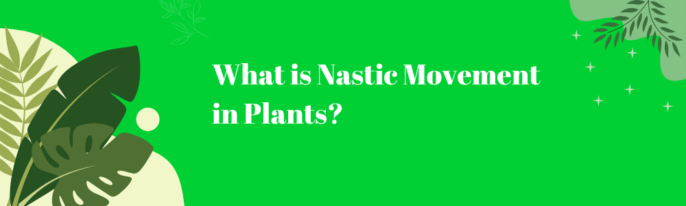 What is Nastic Movement in Plants